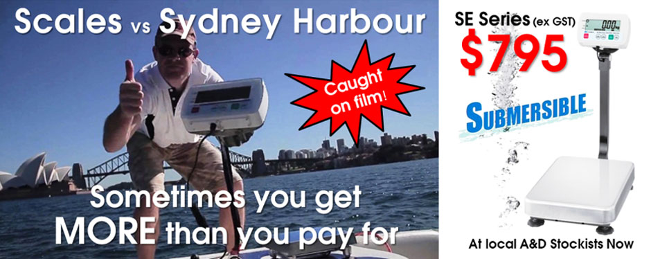 A&D Scale vs Sydney Harbour