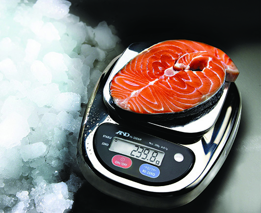 HL-WP Series Professional Catering Scale