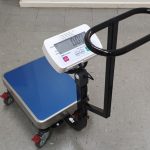 Trolley Scales