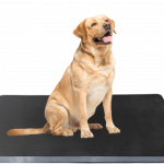 Animal Weighing Scale