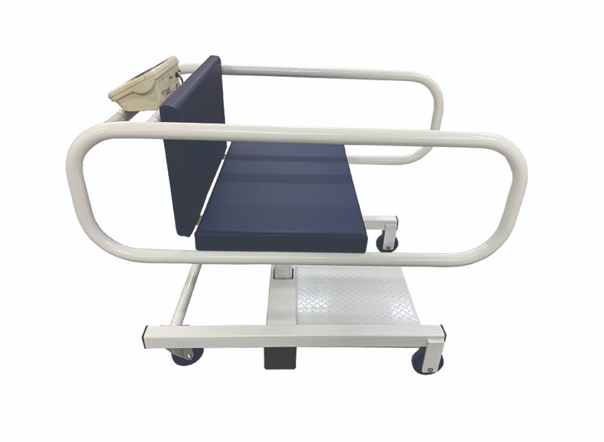 How Bariatric Scales Assist Medical Staff and Caregivers